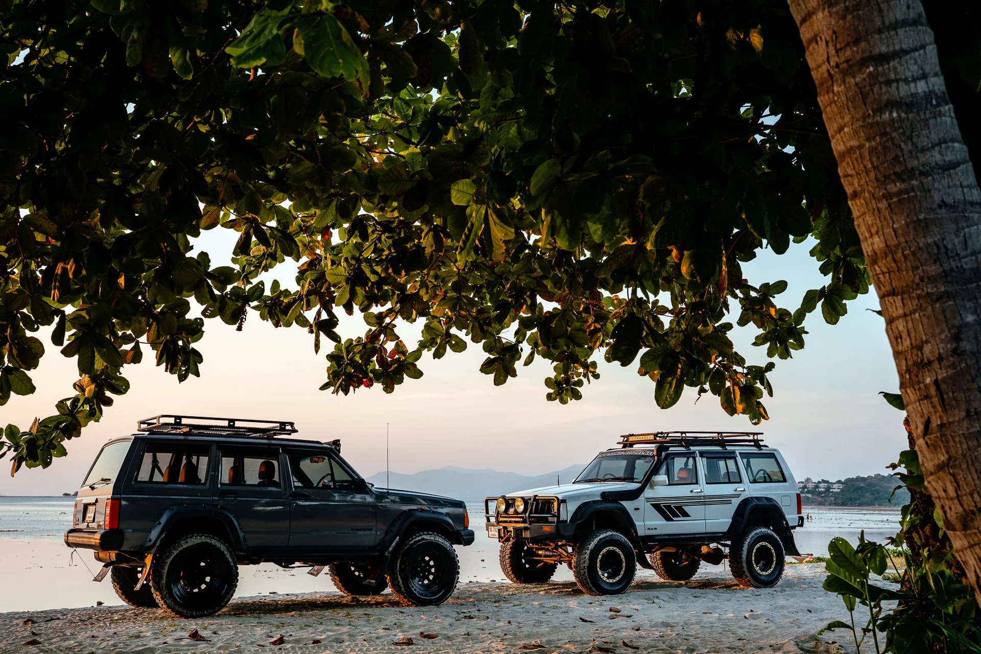 Dos Jeeps restaurados de Samui Motors bajo árboles tropicales junto al mar